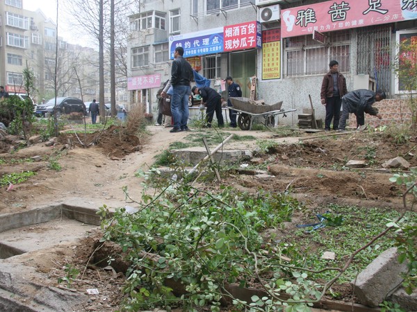 清理私占菜地 湛山社区更漂亮