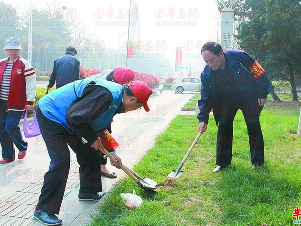 志愿队处理狗便 建议曝光不文明行为